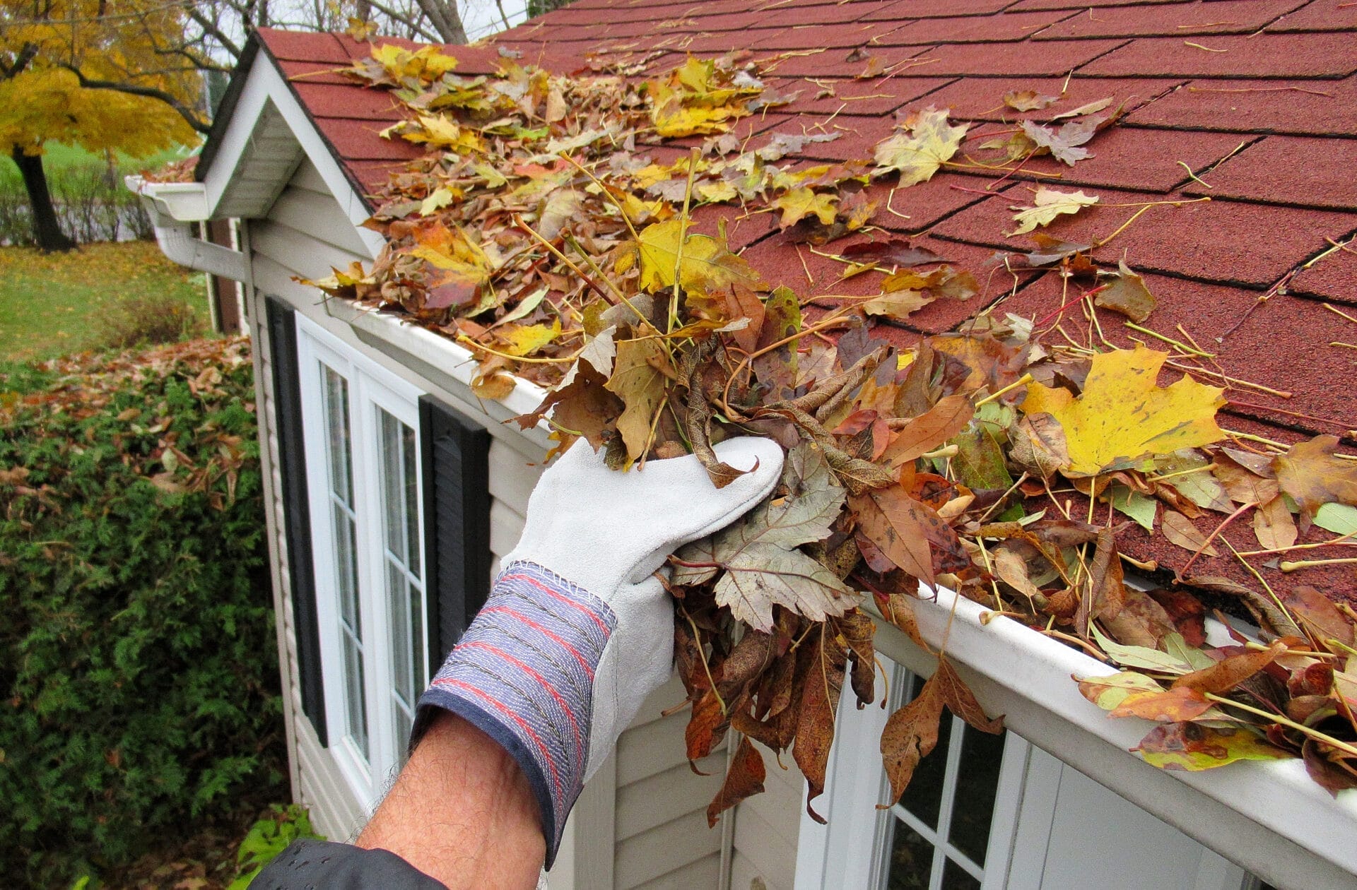 Nature Close up shows some one cleaning leaves from a roof top gutter