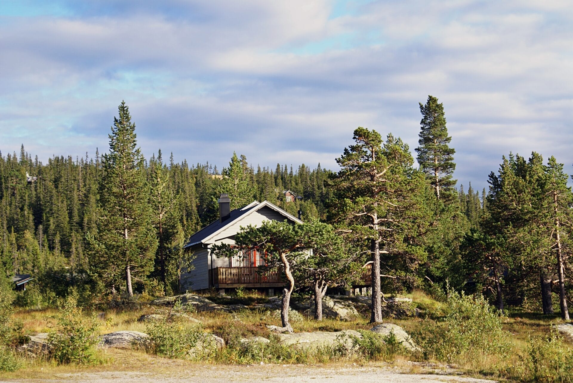 Rustic commercial roofing with natural landscape