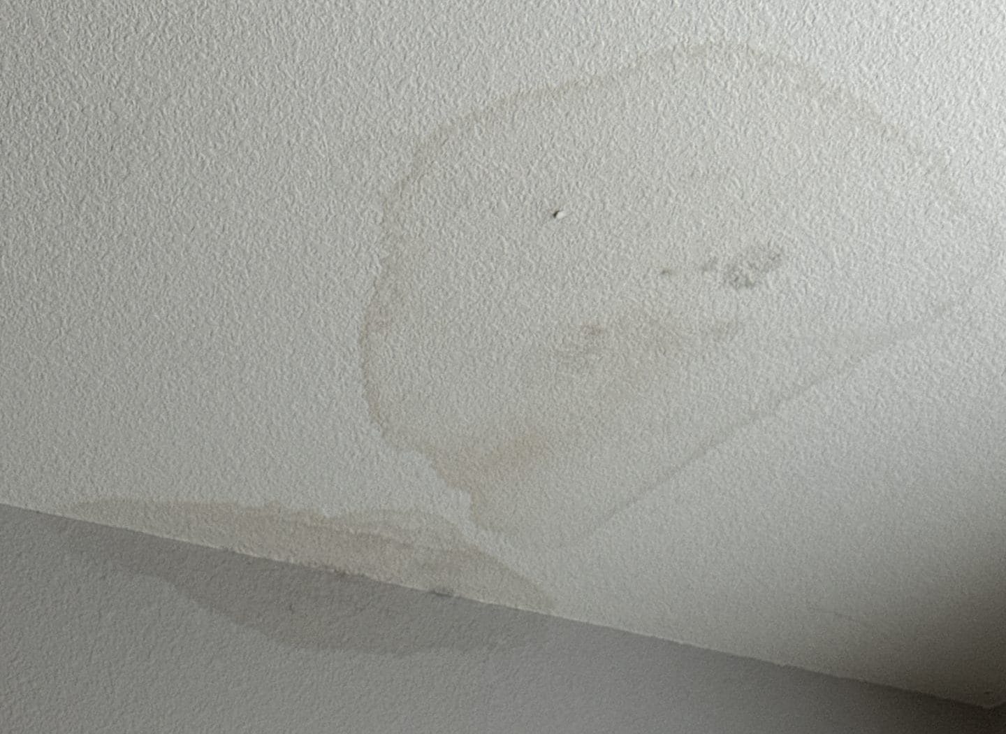 A large brown water stain on a residential ceiling indicating a sudden leak that requires emergency roof repairs in Shingle Springs